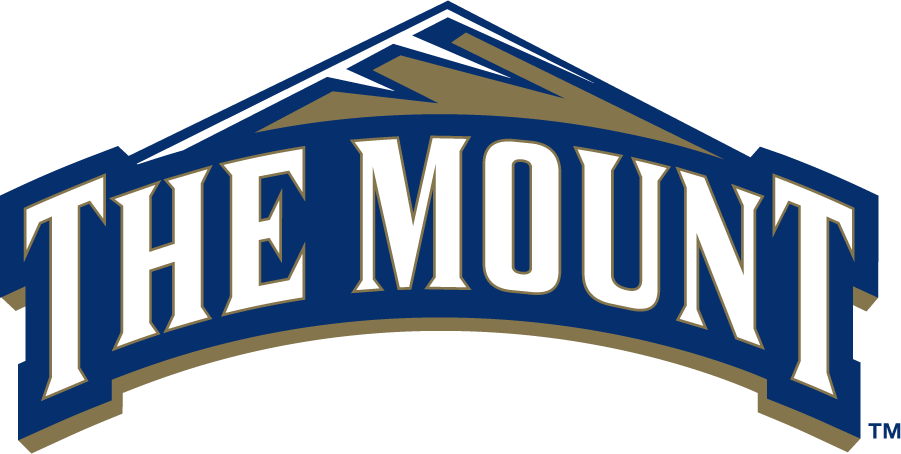 Mount St. Marys Mountaineers 2006-2016 Primary Logo t shirts iron on transfers